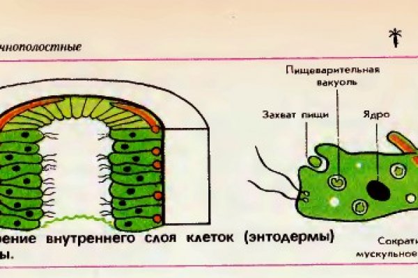 Модератор на кракене