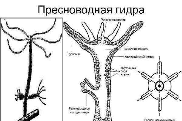 Kraken магазин интернет